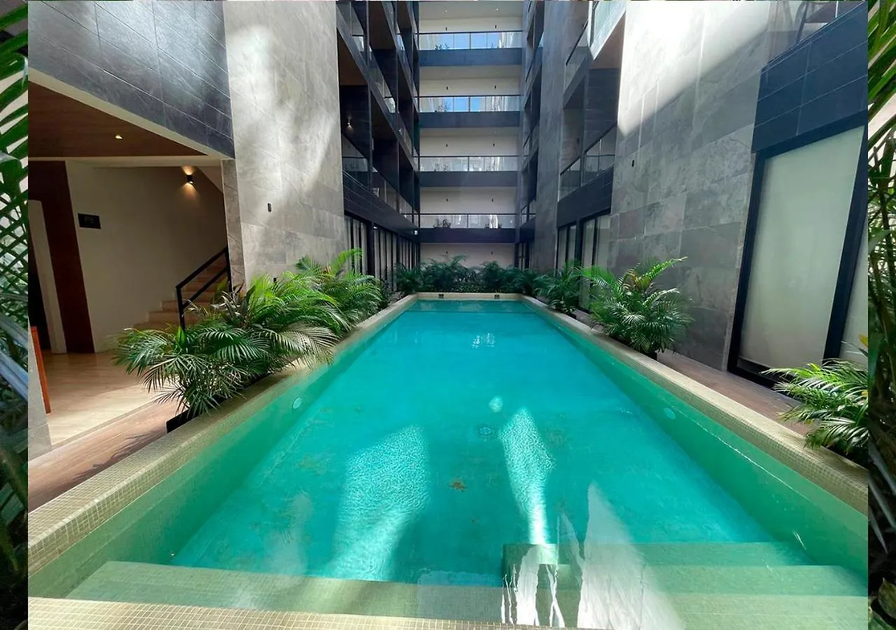 Walking Steps To Beach Gym Jacuzzi And Ocean View Musa Playa del Carmen 0*,