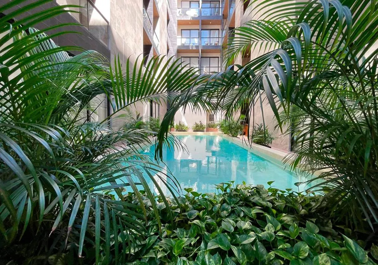 Apartment Walking Steps To Beach Gym Jacuzzi And Ocean View Musa Playa del Carmen